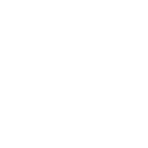 TRANSINO VIETNAM