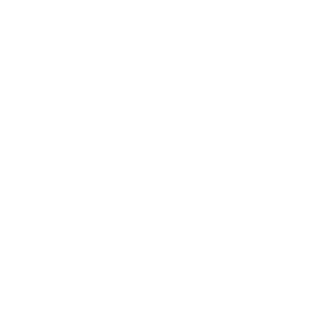 VEDAN VIETNAM
